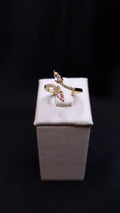 Anel Ajustavel Conjunto Desejo