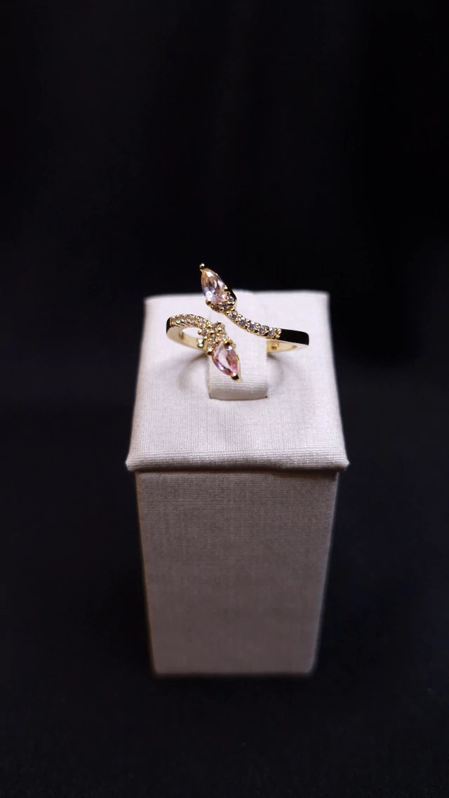 Anel Ajustavel Conjunto Desejo